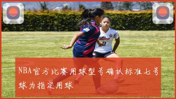 NBA官方比赛用球型号确认标准七号球为指定用球