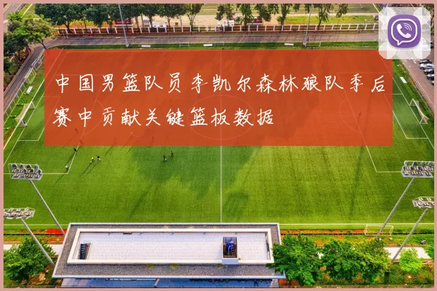 中国男篮队员李凯尔森林狼队季后赛中贡献关键篮板数据